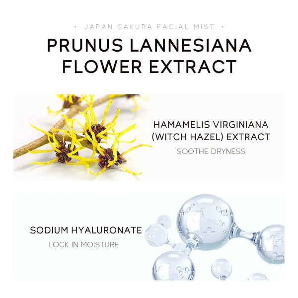 Sakura Glow Skin Toner